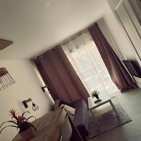 Apartment Sunny Entire Appartement Cannes Cannes
