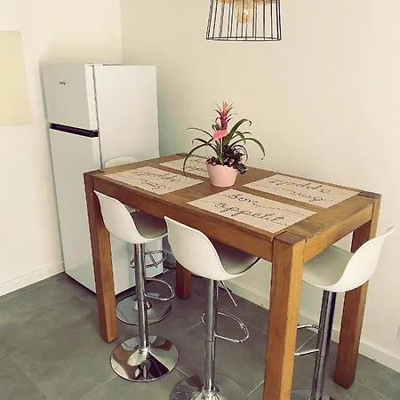 Sunny Entire Appartement Cannes