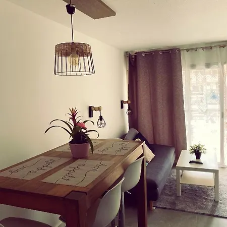 Sunny Entire Appartement Cannes